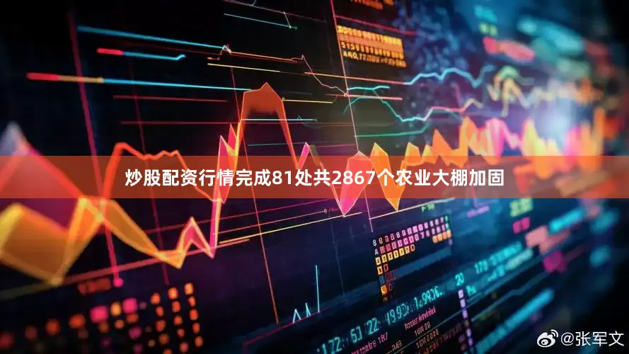 炒股配资行情完成81处共2867个农业大棚加固